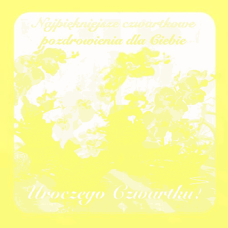 Kolorowe storczyki w koszyczkach pozdrowienia czwartkowe